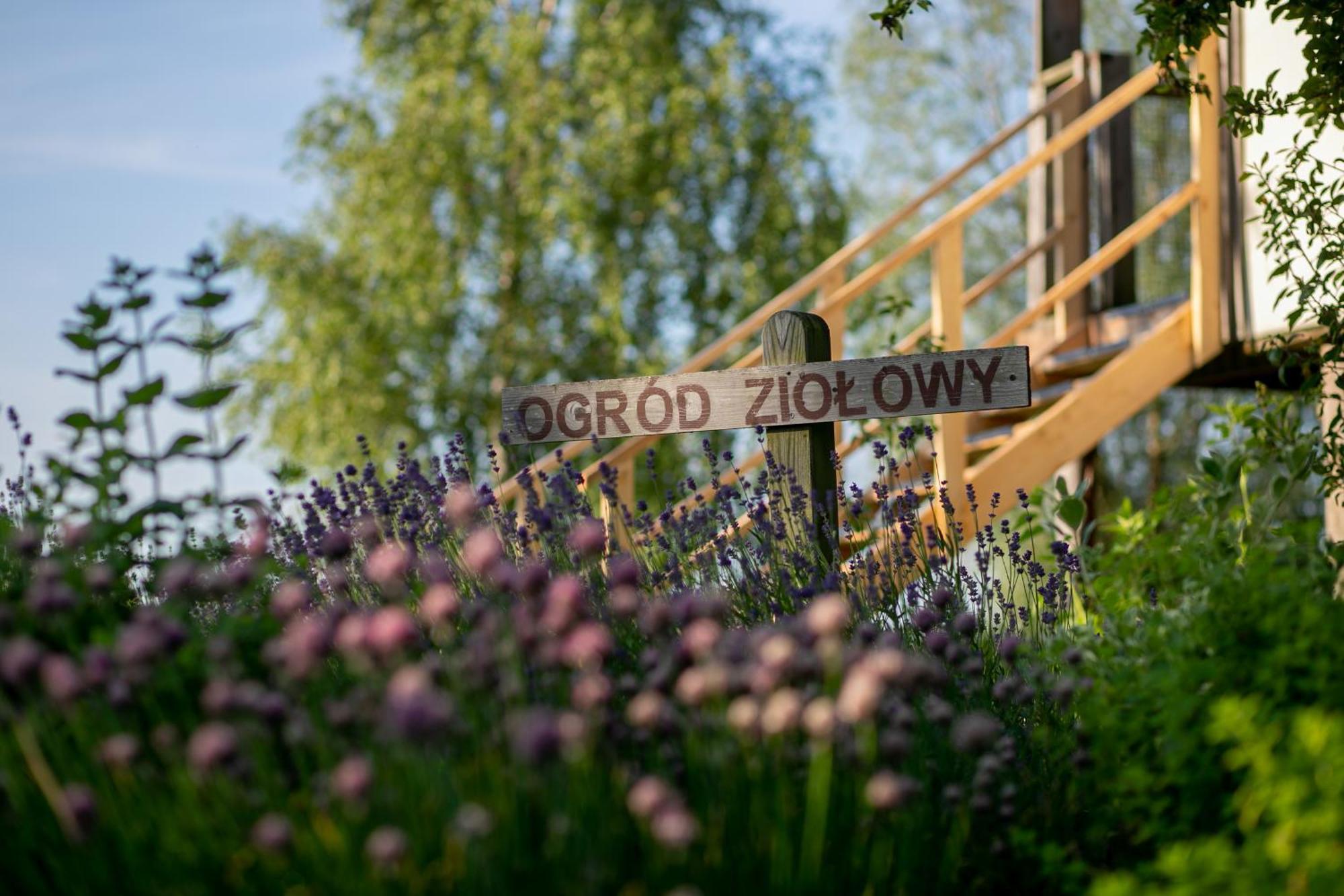 Herbals - Tree&Lake Houses With Bath, Sauna, Bikes, Motorboat เมียลโน ภายนอก รูปภาพ